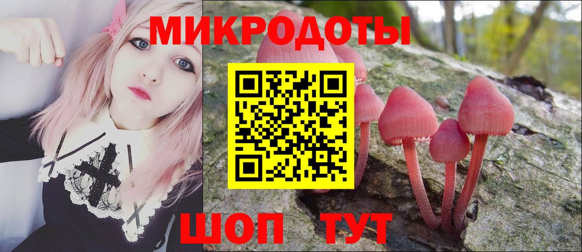Псилоцибиновые грибы GOLDEN TEACHER Павлово