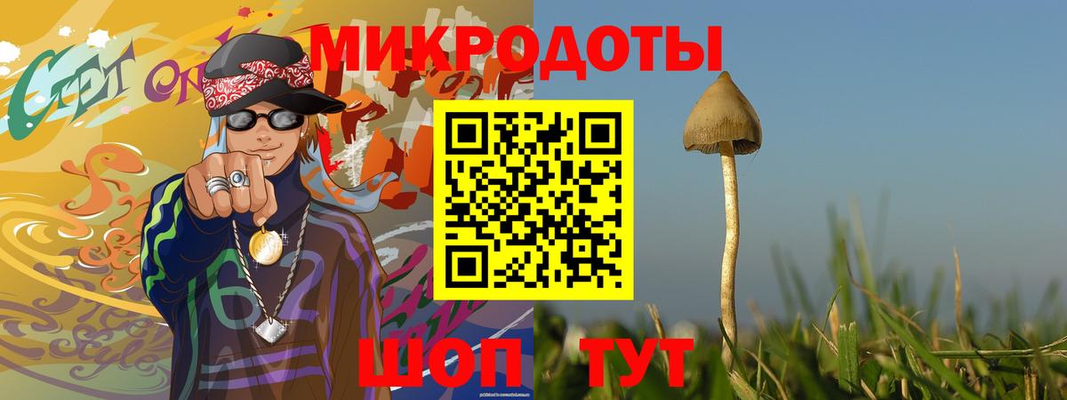 Павлово  Галлюциногенные грибы мухоморы  Вход с VPN 