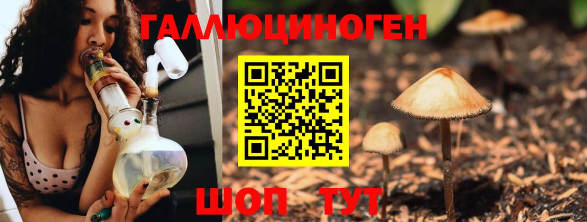 ГАШ Павлово